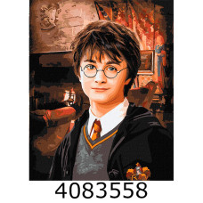 Картина по номерам 40*50см 