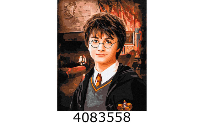 Картина по номерам 40*50см 