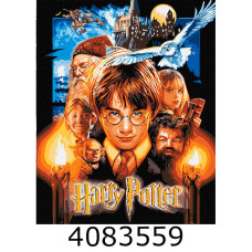 Картина по номерам 40*50см 