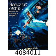 Картина по номерам 40*50см WB 