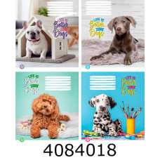 Зошит шк. 12 арк. кл. Поліграфіст 