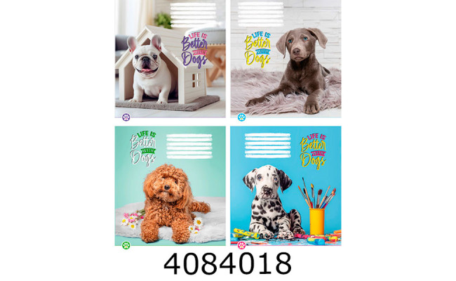 Зошит шк. 12 арк. кл. Поліграфіст 