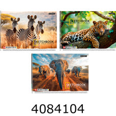 Альбом для малюв. на спір. 30 арк. Школярик УФ-лак 120г/м2 (9/63) PB-SC-030-8043