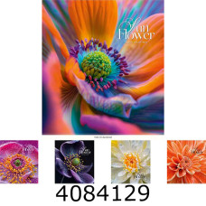 Зошит шк. 48 арк. кл. Школярик УФ-лак 