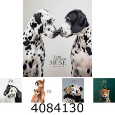 Зошит шк. 48 арк. кл. Школярик УФ-лак 