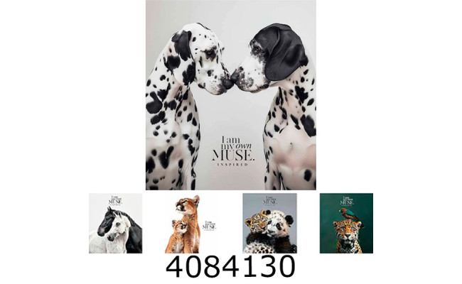 Зошит шк. 48 арк. кл. Школярик УФ-лак 