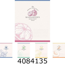 Зошит шк. 24 арк. кл. Школярик Star  ВД-лак 