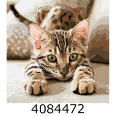 Картина по номерам 40*40см 