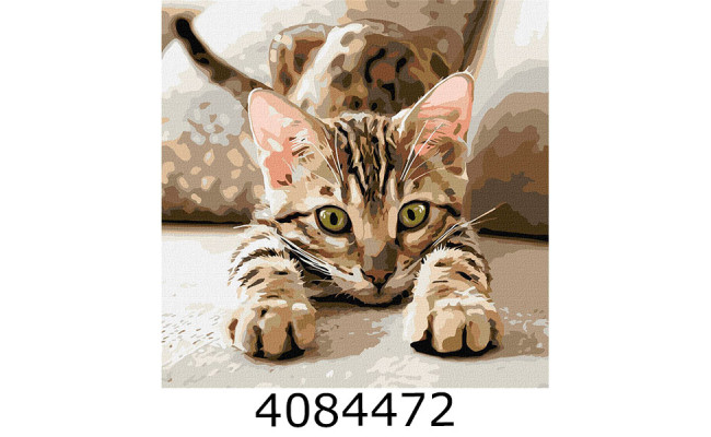 Картина по номерам 40*40см 