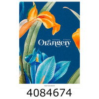 Канц. книга 48 арк. кл. офсет. Поліграфіст 
