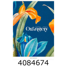 Канц. книга 48 арк. кл. офсет. Поліграфіст 