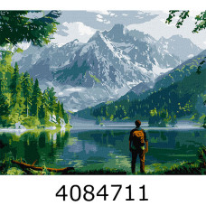 Картина по номерам 40*50см 