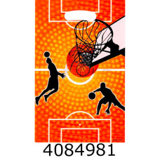 Пакет 16*25 см 