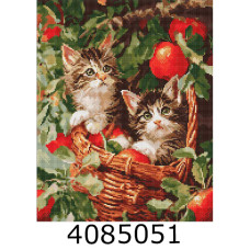 Алмазна мозаїка 40*50 