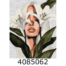 Картина по номерам 40*50см 