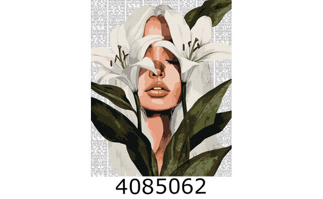 Картина по номерам 40*50см 