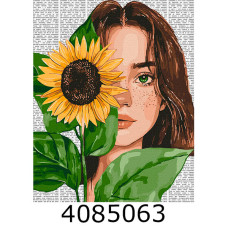 Картина по номерам 40*50см 