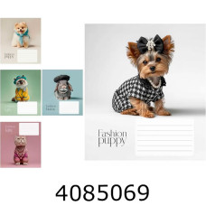 Зошит шк. 18 арк. кл. Школярик Star ВД-лак Зошит шк. 18 арк. кл. Школярик Star ВД-лак