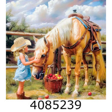 Алмазна мозаїка 30*40 люди 