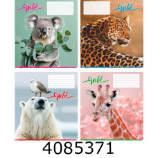 Зошит шк. 12 арк. коса  Поліграфіст 