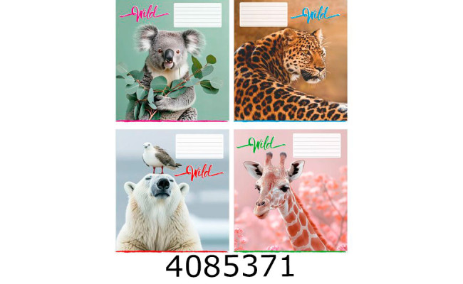 Зошит шк. 12 арк. коса  Поліграфіст 