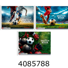 Альбом для малюв. на спір. 30 арк. 120г/м2 УФ-лак Школярик (9/63) PB-SC-030-8055