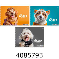 Альбом для малюв. на спір. 20 арк. 100г/м2 ВД-лак Школярик Star (9/108) PB-SC-020-8568 Альбом для малюв. на спір. 20 арк. 100г/м2 ВД-лак Школярик Star (9/108) PB-SC-020-8568