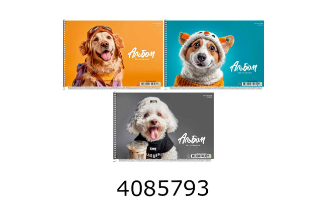 Альбом для малюв. на спір. 20 арк. 100г/м2 ВД-лак Школярик Star (9/108) PB-SC-020-8568