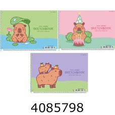 Альбом для малюв. на спір. 20 арк. 100г/м2 Школярик УФ-лак Star (9/108) PB-SC-020-8561 Альбом для малюв. на спір. 20 арк. 100г/м2 Школярик УФ-лак Star (9/108) PB-SC-020-8561