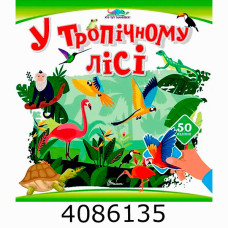 Хто тут заховався  У тропічному лісі (24)