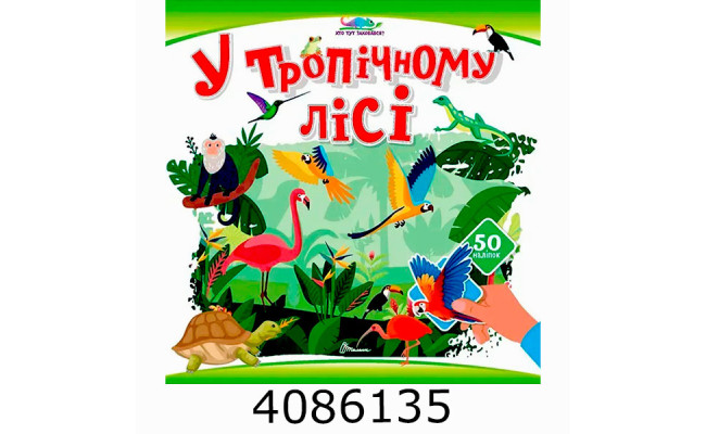 Хто тут заховався  У тропічному лісі (24)