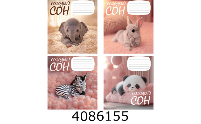 Зошит шк. 12 арк. кл. Поліграфіст 