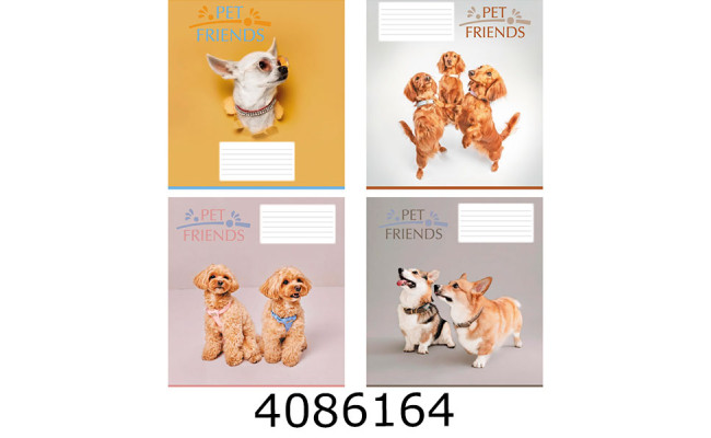 Зошит шк. 12 арк. коса Поліграфіст 