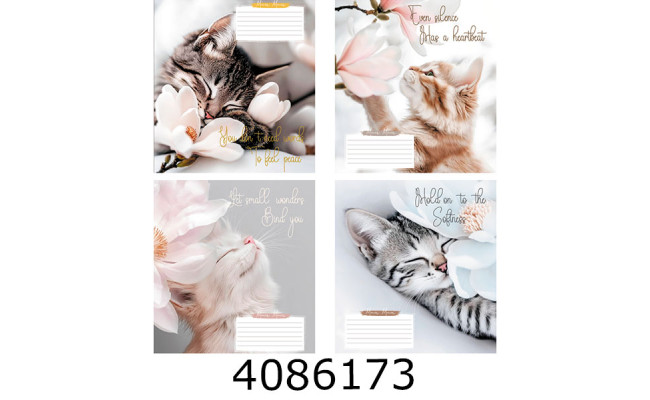 Зошит шк. 24 арк. кл. Поліграфіст 