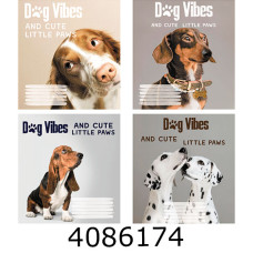 Зошит шк. 24 арк. кл. Поліграфіст 