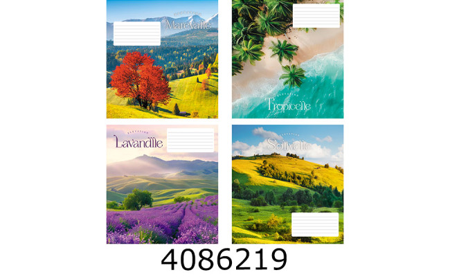 Зошит шк. 36 арк. лін. Поліграфіст 