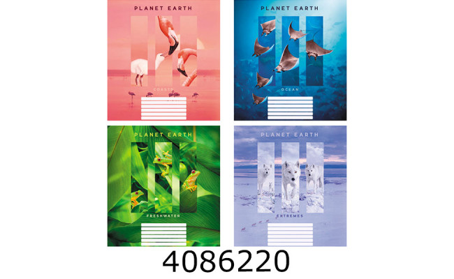 Зошит шк. 48 арк. кл. Поліграфіст 