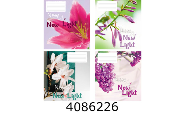 Зошит шк. 48 арк. лін. Поліграфіст 