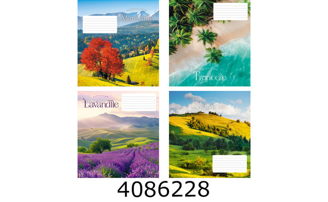 Зошит шк. 60 арк. кл. Поліграфіст 