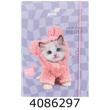 Папка для зошитів В5 на гумці картон SP (10) SP26-210