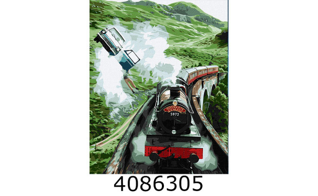 Картина по номерам 40*50см 