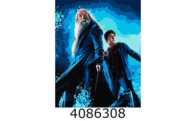 Картина по номерам 40*50см 