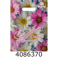 Пакет 22*30 см 