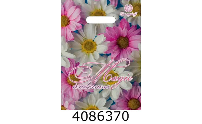 Пакет 22*30 см 