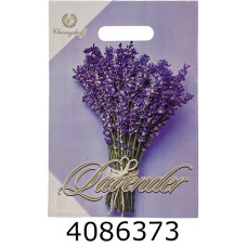 Пакет 22*30 см 