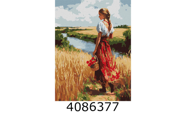 Картина по номерам 30*40см люди 