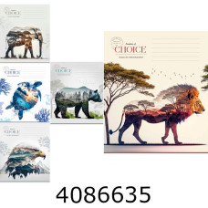 Зошит шк. 18 арк. кл. Школярик Star ВД-лак  (25/250) 018-3633K