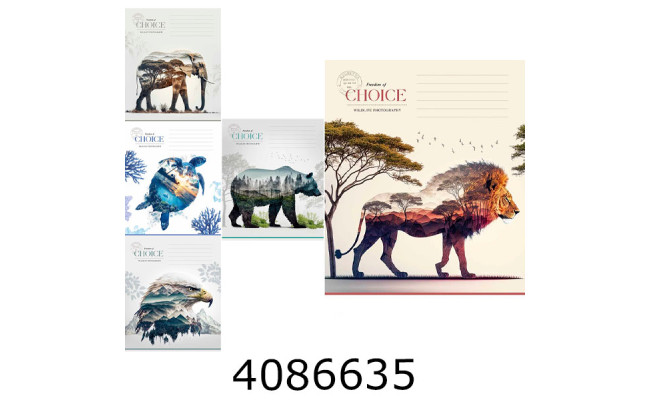 Зошит шк. 18 арк. кл. Школярик Star ВД-лак  (25/250) 018-3633K