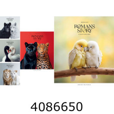 Зошит шк. 48 арк. кл. Школярик УФ-лак (10/100) 048-3571K