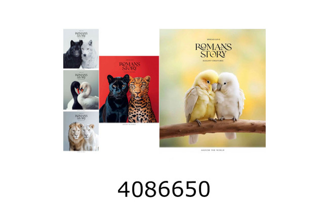 Зошит шк. 48 арк. кл. Школярик УФ-лак (10/100) 048-3571K